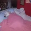ann - @annkessler1 - TikTok