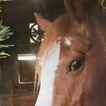 Ann Keesler - @annkeesler - Instagram