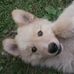 Dee Ann Keesler - Facebook