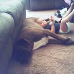 Ann Kehl - @ann.kehl.5 - Instagram