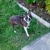 Ann Keith - Facebook