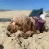 Ann Keith - @ann.keith57 - TikTok