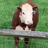 annkeith486 - @annkeith486 - TikTok