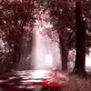 annkeithcu91213 - @annkeithcu91213 - TikTok