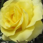 Anne Kellenberger - Facebook