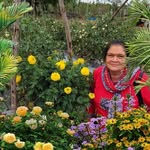 Ann Kelman - @ann.kelman.56 - Instagram
