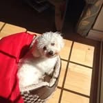 Ann Kent - @annkent7 - Instagram