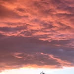 Ann Kenyon - @noynek12 - Instagram
