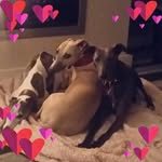 Anne Kenyon - @annkenyon60 - Instagram