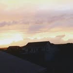 Carol Ann Kenyon - @tiki_carol - Instagram