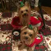 leigh ann kepner - @leigh.ann.kepner - TikTok