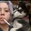 Anna Kerley - @anna.kerley - TikTok