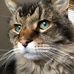 Ann Kernaghan - Facebook