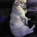 Ann-Marie Kernaghan - Facebook