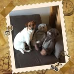 Ann Kettle - @annkettle66 - Instagram