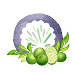 🌿 ann | key lime ink - @keylimeink - Instagram