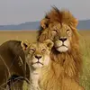 khalilann Khalil - @khalilannkhalil - TikTok