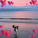Ann McIntosh Kierzkowski - @annkierzkowski - Instagram
