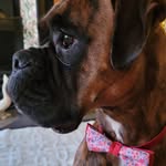 Anniek - @annkierans - Instagram