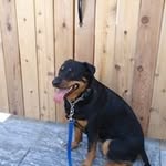 Jo Ann Killen - @joannkillen - Instagram