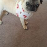 Ann Mc Killion - @annmckillion - Instagram