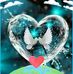 Ann Kimball - Facebook