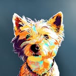 Kari Ann Kimball - @westieportraits - Instagram