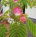 Anna Kochan - Facebook
