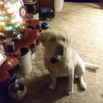 Ann Knack - @eaknack1 - Instagram