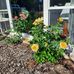 Ann Knack - Facebook