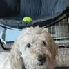 Ann Marie Knott - @ann.marie.knott - TikTok