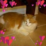 Carol Ann Koerner - @koernercarolann - Instagram