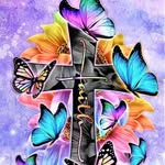 Ann Kravitz - @annkravitz56 - Instagram