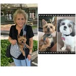 Ann Marie Charlton Kravitz - @anniek1962 - Instagram