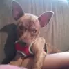 annkruger663 - @annkruger663 - TikTok