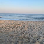 Ann Lebon Kulp - @clrdwlr - Instagram