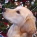 Ann Kunkel - Facebook