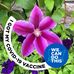 Ann Kunkel - Facebook