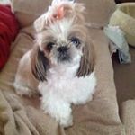 Ann Lally - @ann.lally - Instagram