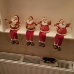 Ann Lawlor - @ann.lawlor.9693 - Instagram