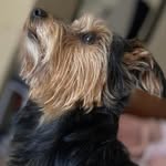 Ann Magee Lawlor - @annmageelawlor - Instagram