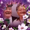 annlawlor687  anne - @annlawlor687 - TikTok