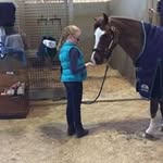 Ann Rogers Lawton - @critterblades - Instagram