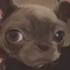 Keeley Ann Lawton - @keeley.ann.lawton - TikTok