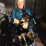 Ann Leadbetter - @annleadbet - Instagram