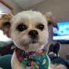 leannleadbetter - @leannleadbetter - TikTok