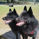 Ann Lehman - @ann.lehman.779 - Instagram