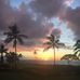 Ann Lemieux - Facebook