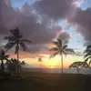 Ann Lemieux - @annlemieux - TikTok