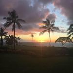 Ann Lemieux - @happyandhealthyann - Instagram